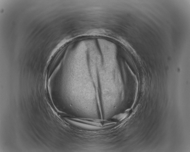 X0000085751224200703301353