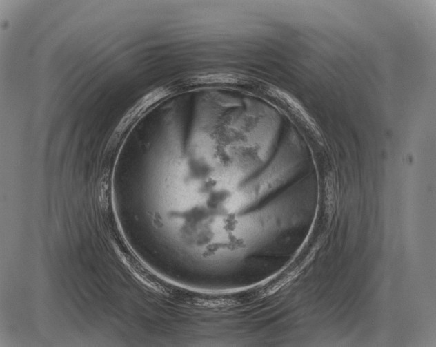 X0000085751225200703301353