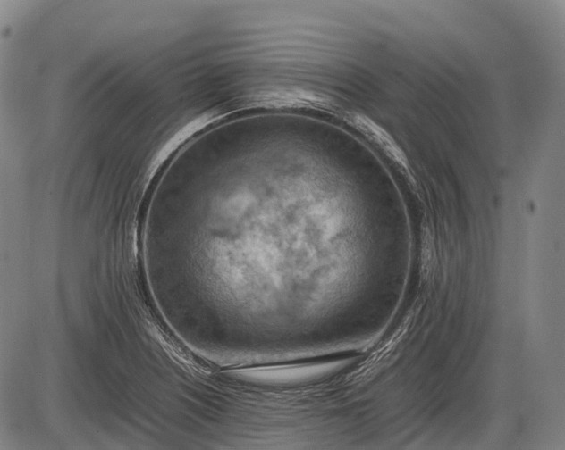 X0000085751226200703301353