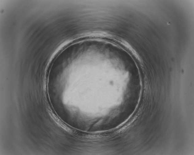 X0000085751232200703301354