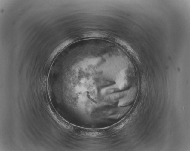 X0000085751233200703301354