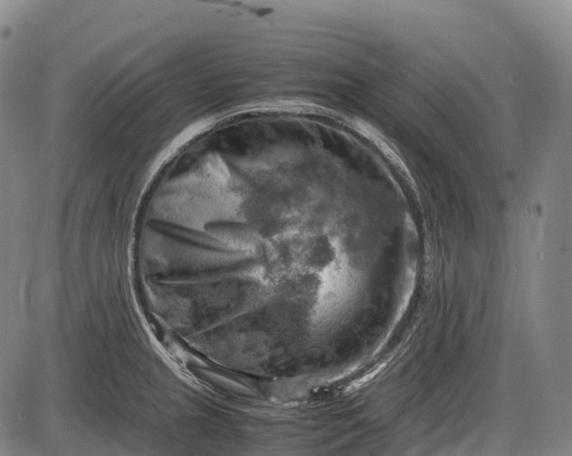 X0000085751237200703301354