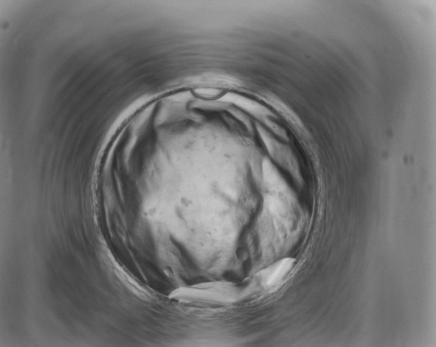 X0000085751248200703301354