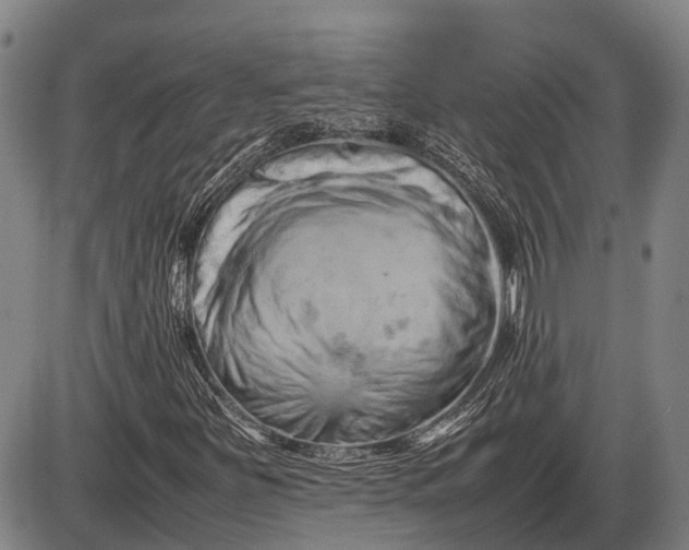 X0000085751251200703301353