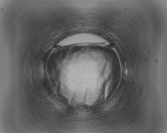 X0000085751252200703301353