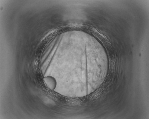 X0000085751254200703301353