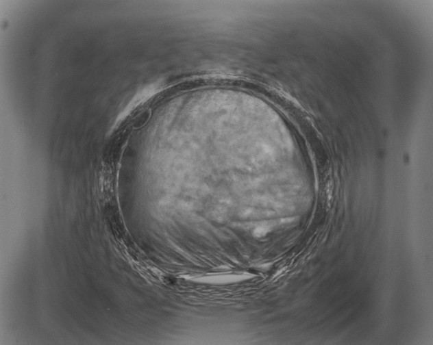 X0000085751255200703301353