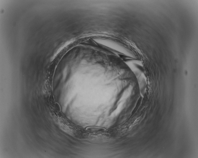 X0000085751256200703301353