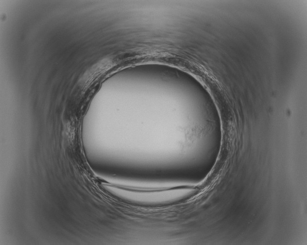 X0000085751257200703301353