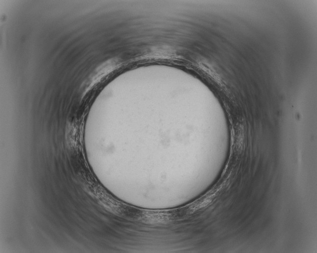 X0000085751258200703301353