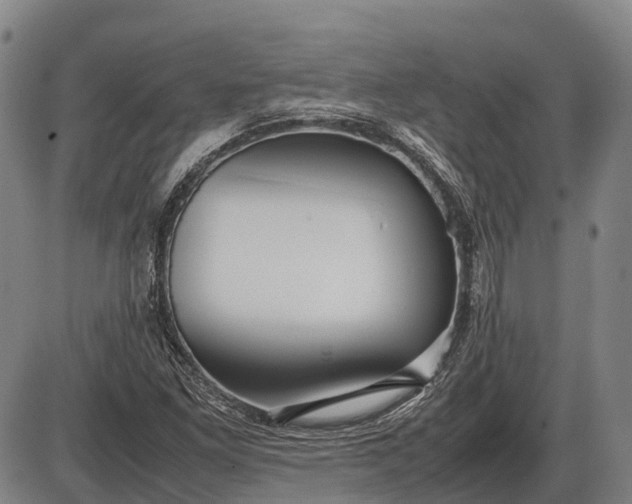 X0000085751261200703301353