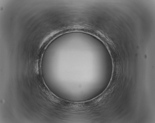 X0000085751262200703301353