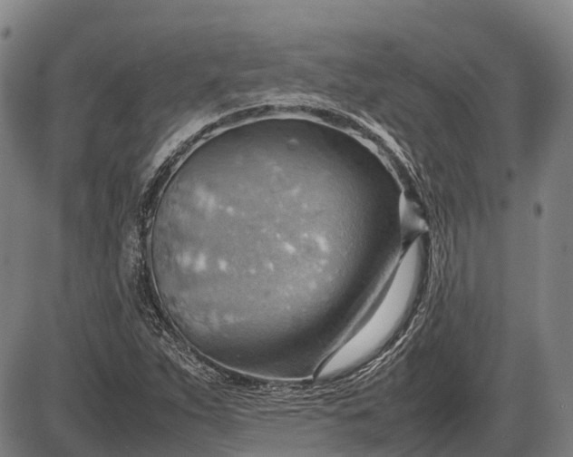 X0000085751263200703301353