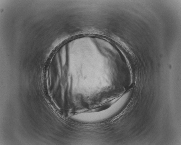 X0000085751264200703301353