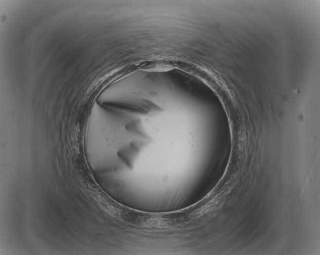 X0000085751265200703301353