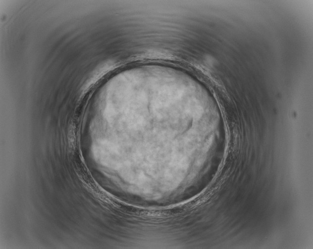 X0000085751266200703301353