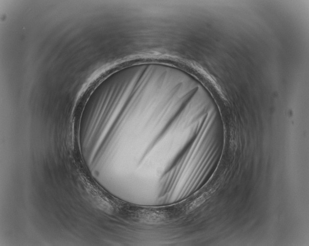 X0000085751270200703301353