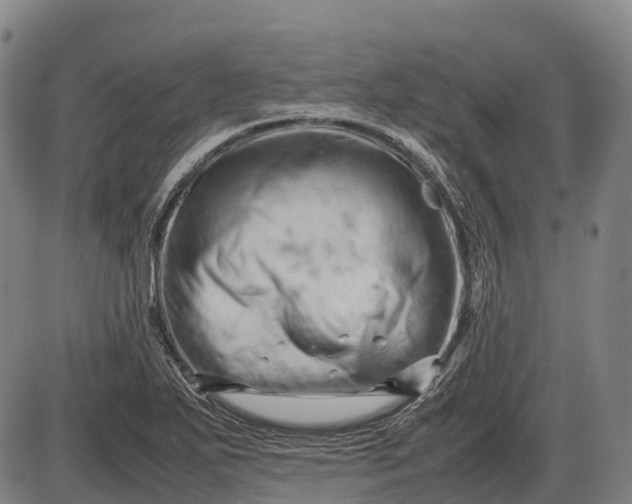 X0000085751271200703301353