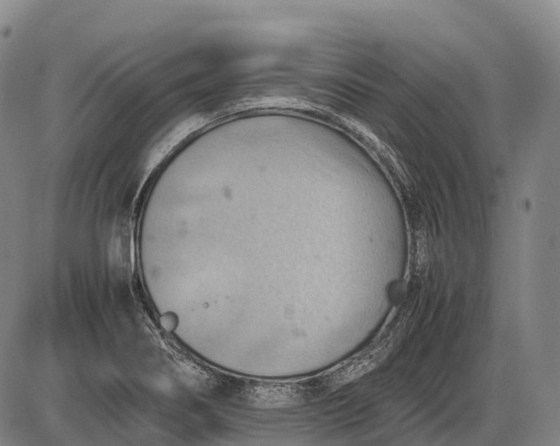 X0000085751274200703301353