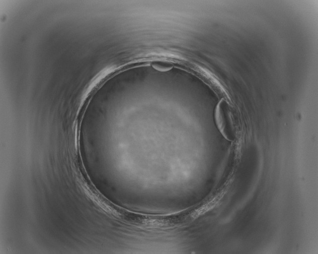 X0000085751275200703301353