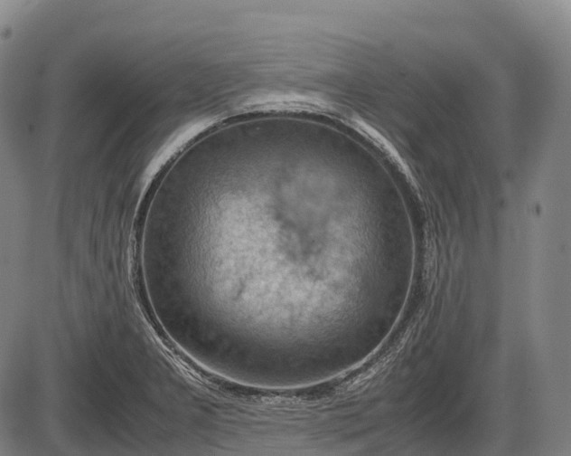 X0000085751277200703301353