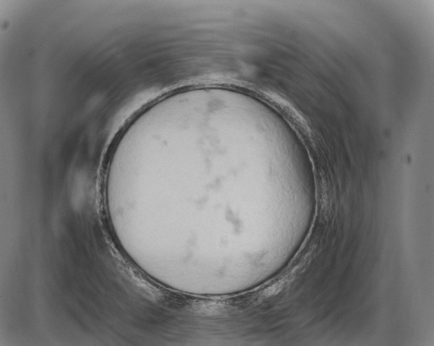 X0000085751278200703301353