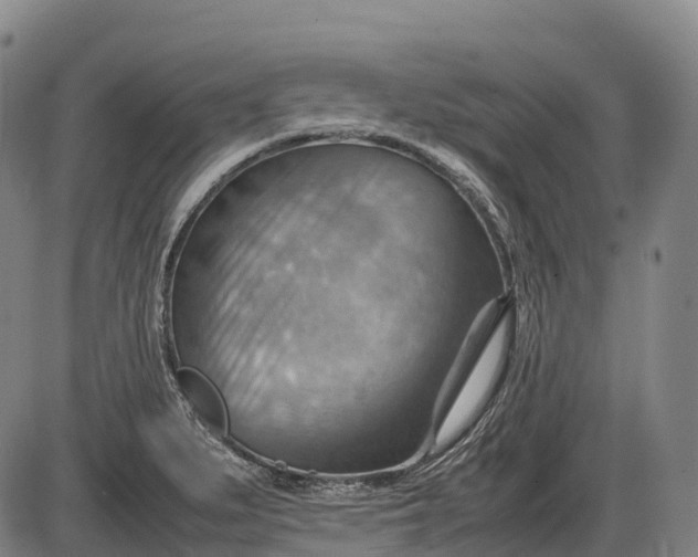 X0000085751279200703301353