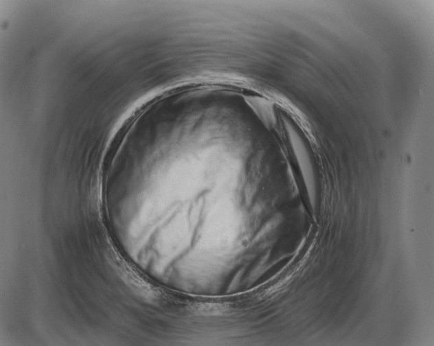 X0000085751280200703301353