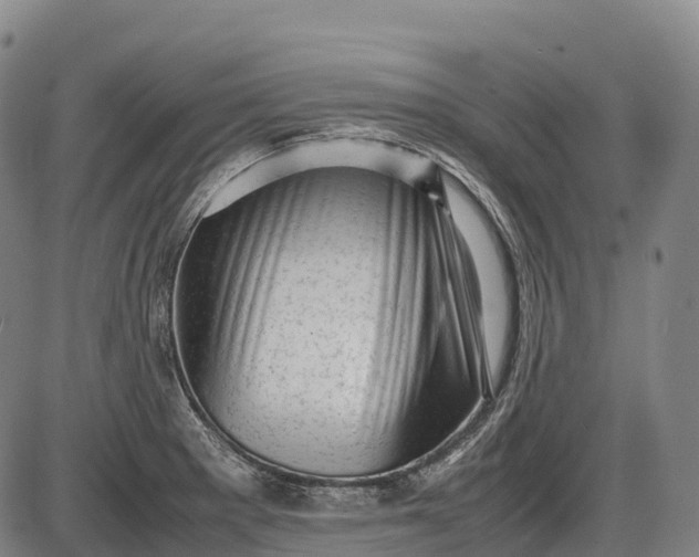 X0000085751281200703301353