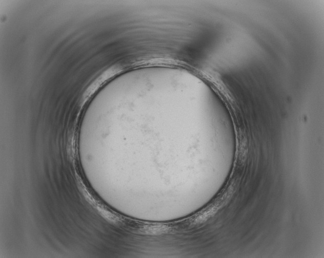 X0000085751282200703301353