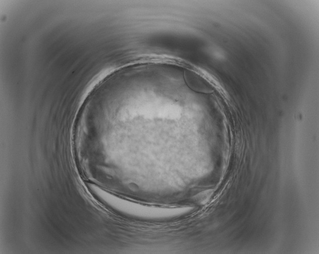 X0000085751283200703301352