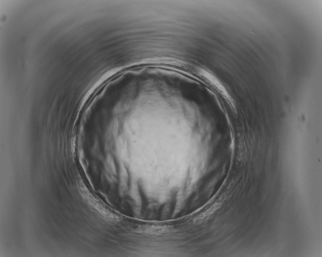 X0000085751284200703301352