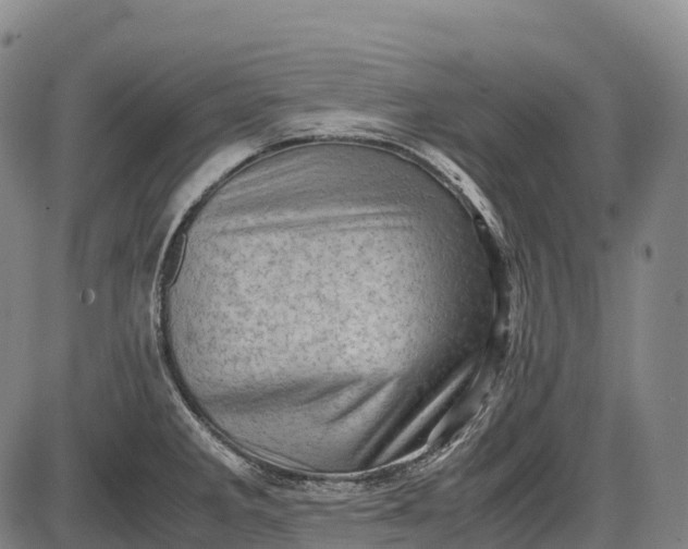 X0000085751285200703301352