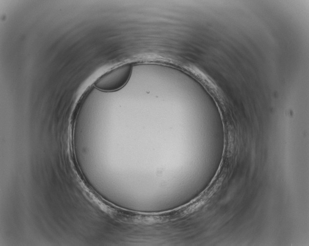 X0000085751286200703301352