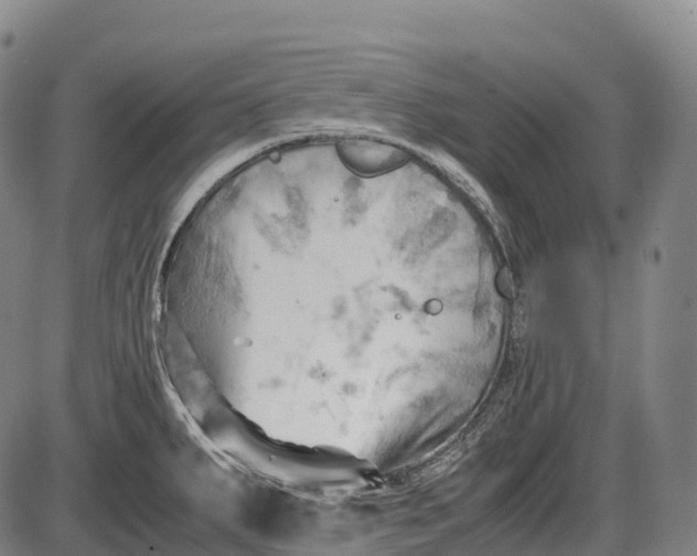 X0000085751287200703301352