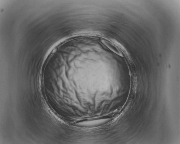 X0000085751288200703301352