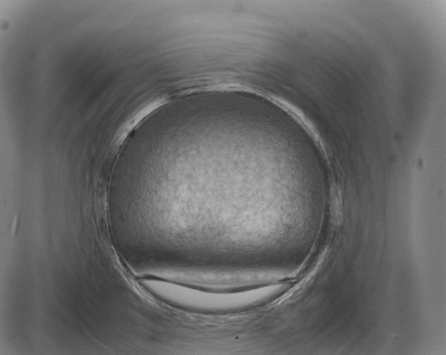 X0000085751289200703301352