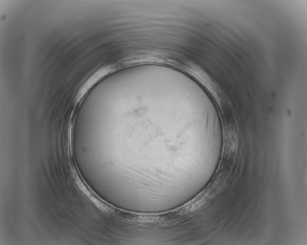 X0000085751290200703301352