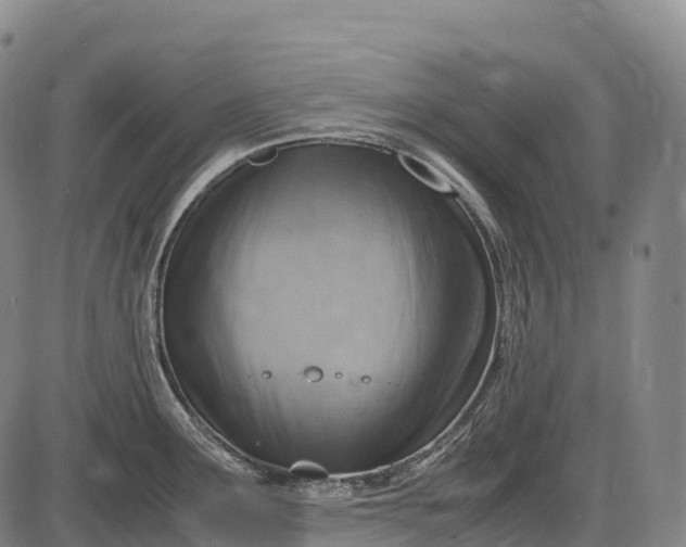 X0000085751291200703301352