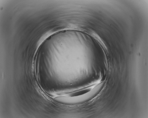 X0000085751292200703301352