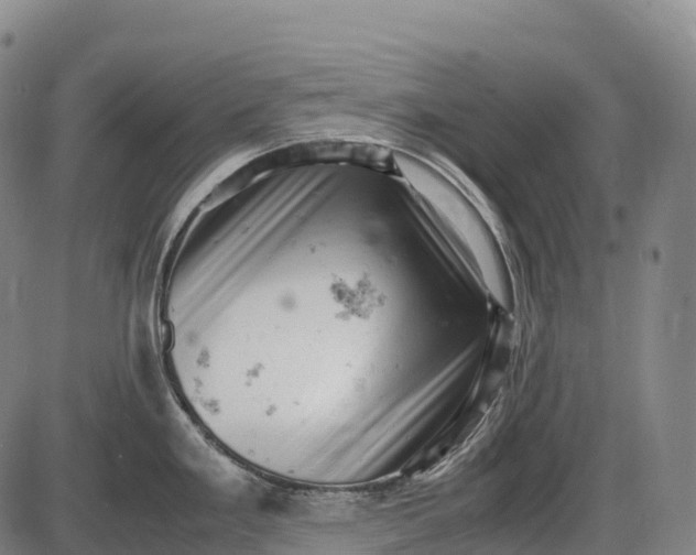 X0000085751293200703301352