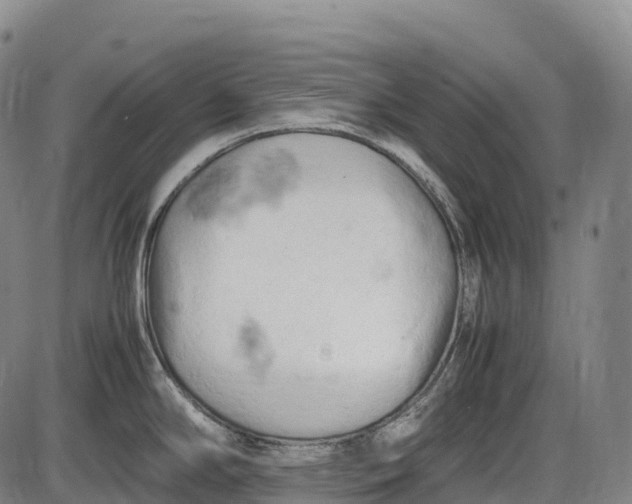 X0000085751294200703301352