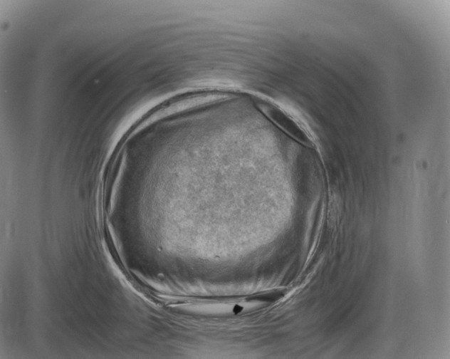 X0000085751295200703301352