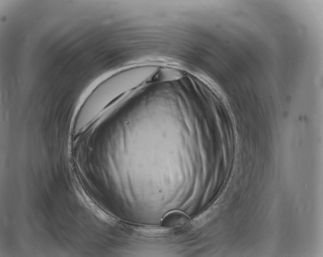 X0000085751296200703301352