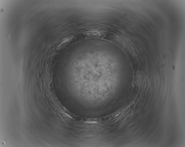 X0000085751297200703301351