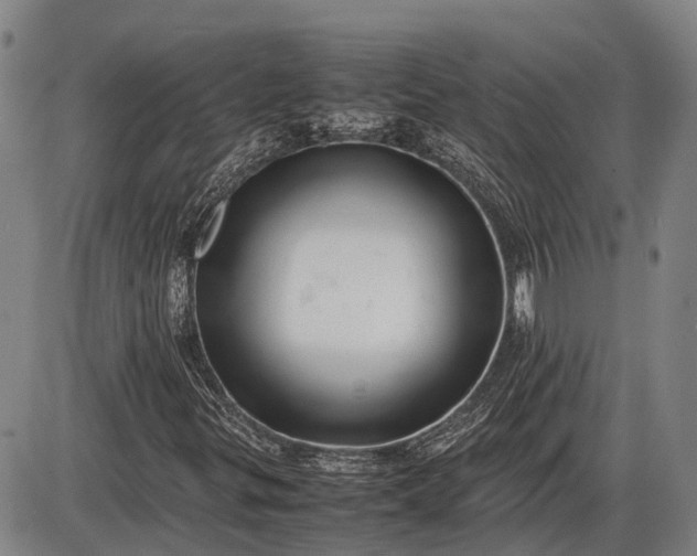 X0000085751299200703301352