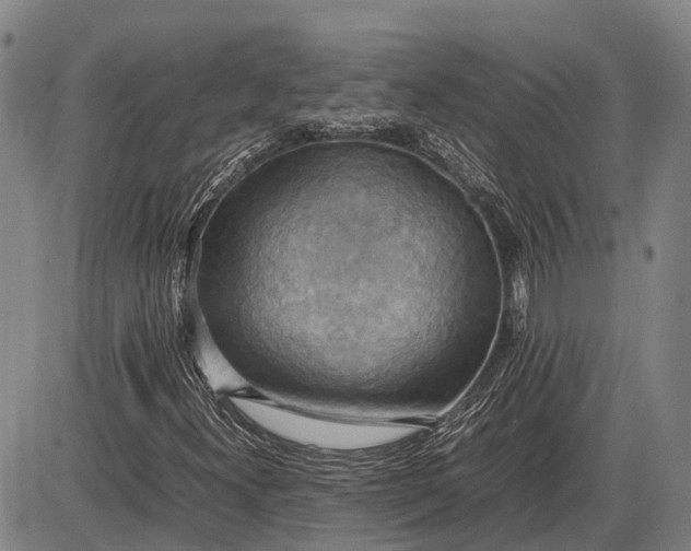 X0000085751300200703301352