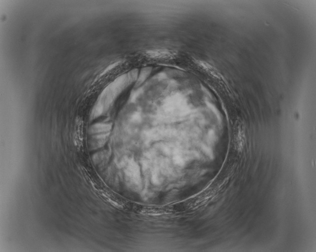 X0000085751301200703301352