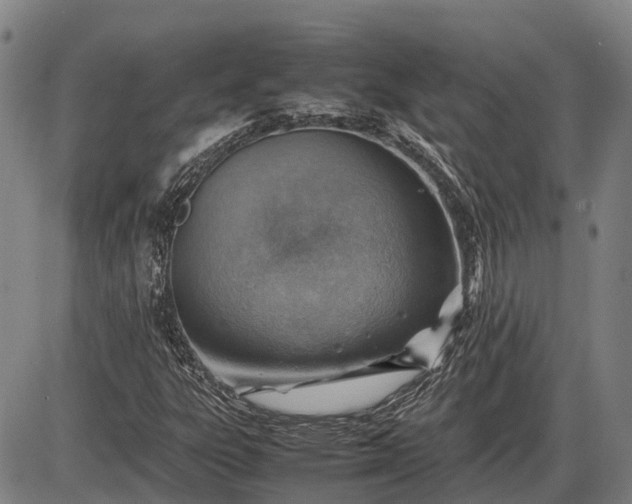 X0000085751303200703301352