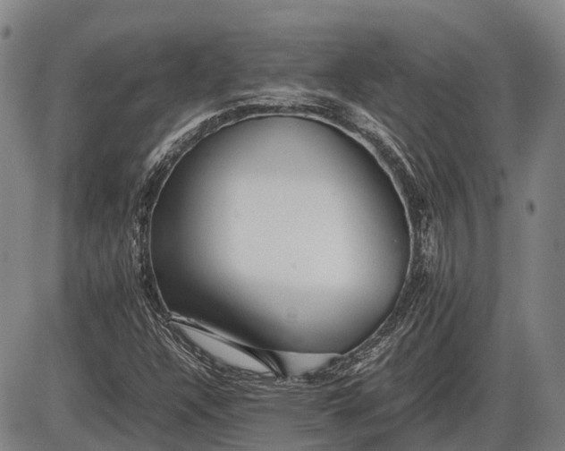 X0000085751304200703301352